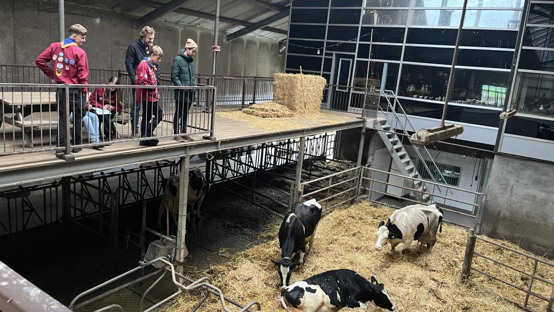 Samsung Galaxy Flip geboren #ehike 